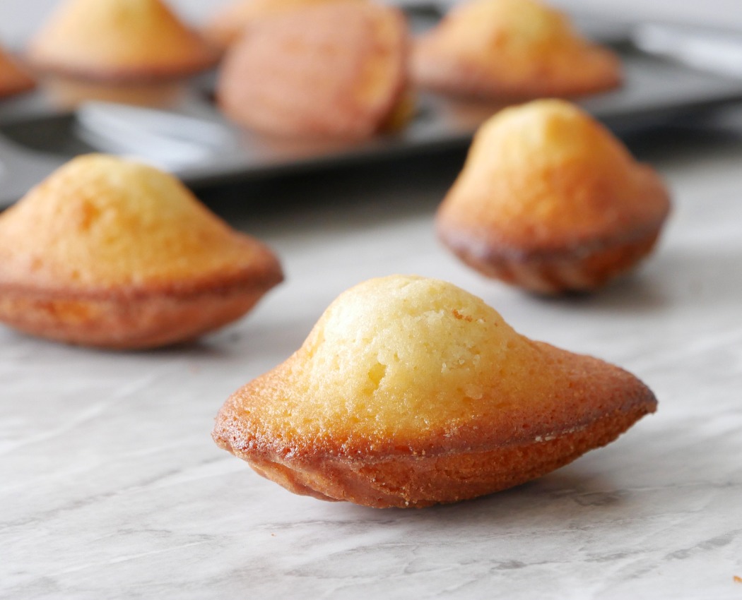 Recette des Madeleines Les Ateliers de Ludo